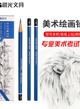 晨光文具素描笔美术绘画素描铅笔套装专业考试软中硬炭铅笔F2B4H6B8H10B初学者学生用炭画包邮
