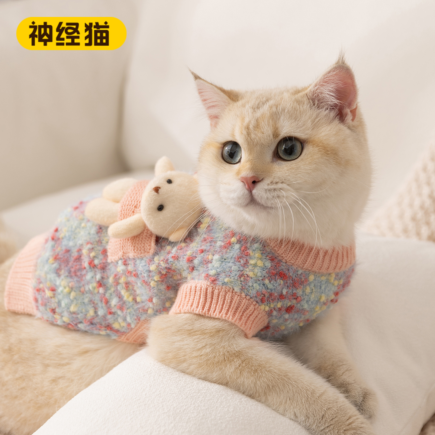 新品上市丨猫咪衣服加厚保暖毛衣