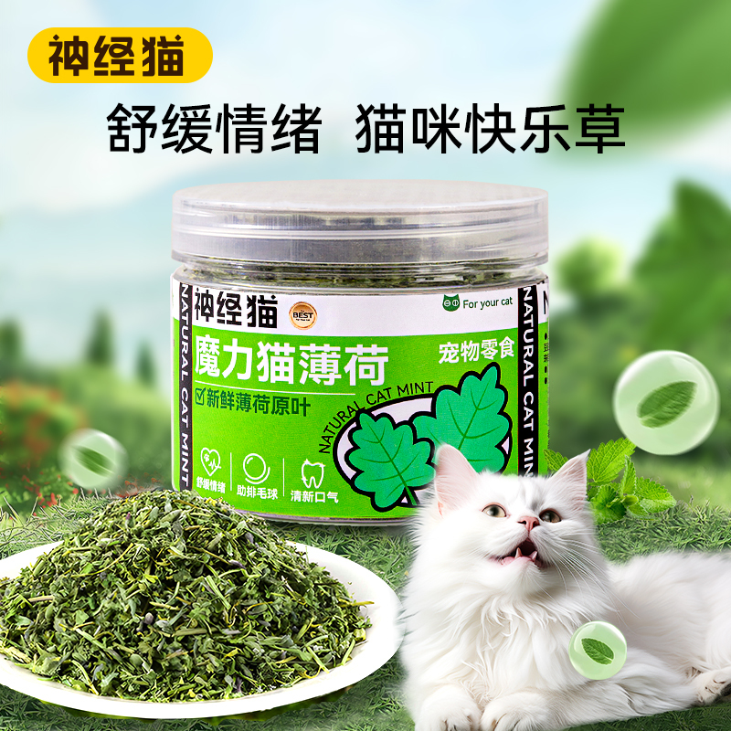 猫薄荷罐装可食用高纯度薄荷粉末猫喝水去化毛球猫草清口气猫用品