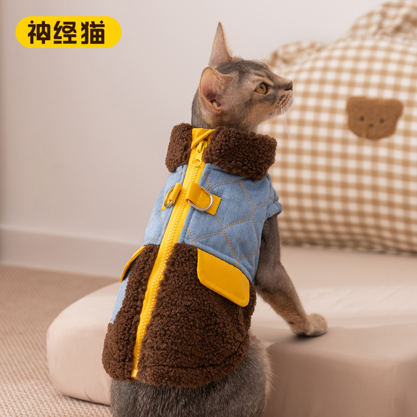 神经猫|猫咪秋冬撞色保暖马甲