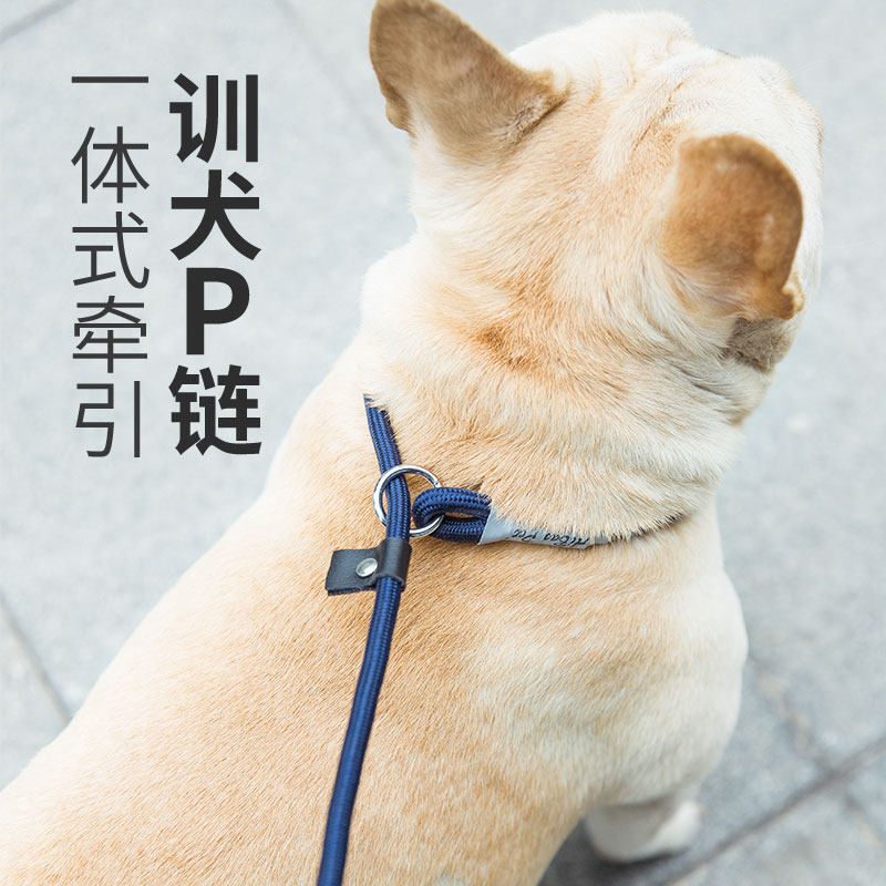 狗狗牵引绳遛狗绳子小型中大犬狗链金毛泰迪训犬p链宠物用品大全