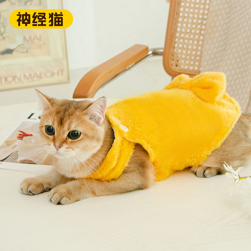 萌宠猫咪衣服春秋款夏季装小猫猫秋季防掉毛幼猫布偶宠物网红裙子