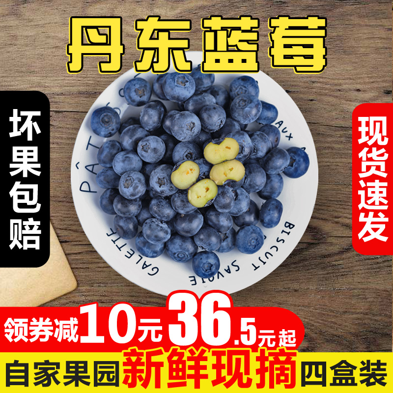 丹东新鲜蓝莓鲜果500g蓝梅大果当季孕妇水果非野生进口4盒装包邮