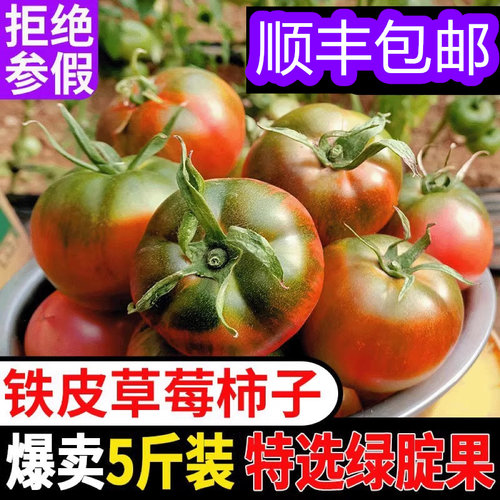 东北碱地新鲜盘锦铁皮草莓西红柿