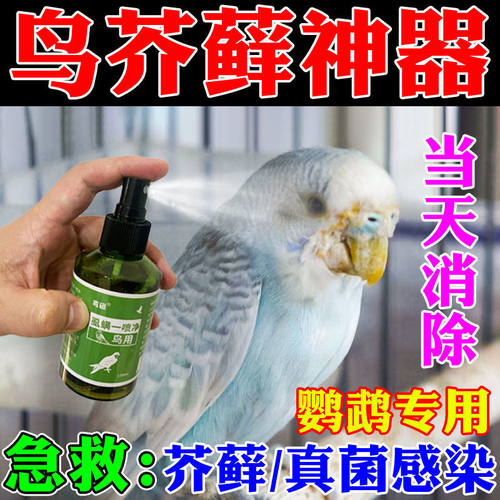 鹦鹉药鹦鹉皮肤病除鹦鹉体外寄生虫虎皮鹦鹉嘴上鼻子脚上长癣专用
