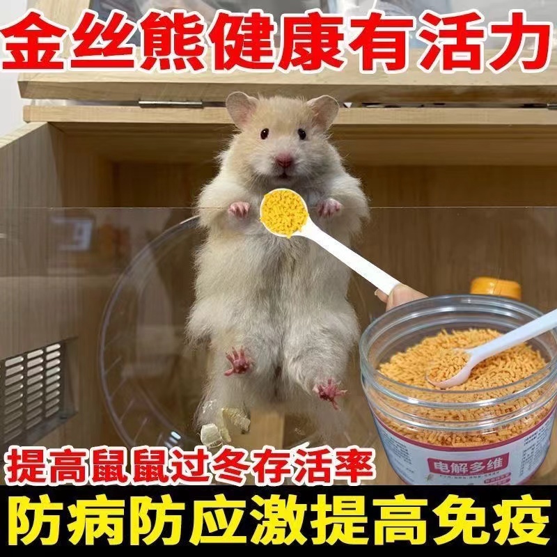 金丝熊过冬电解多维仓鼠增强刺猬抗应激补维生素增强体质防生病