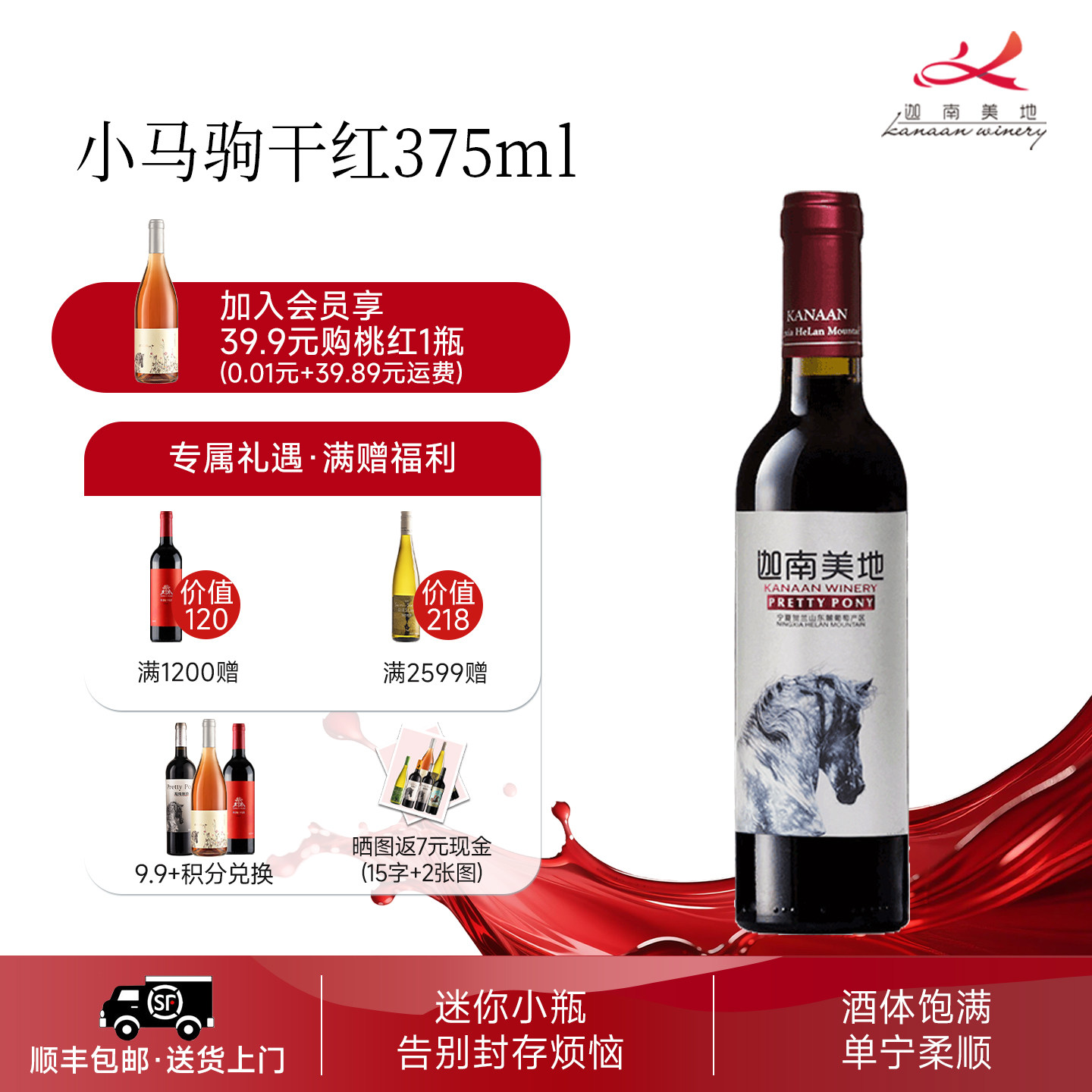 迦南美地小马驹赤霞珠美乐干红葡萄酒宁夏红酒 375ml 自饮小酒