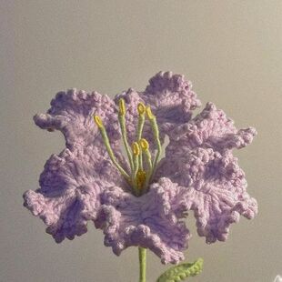 微钩材料包紫薇花钩织材料diy钩针手工花束母亲节生日礼物送女友