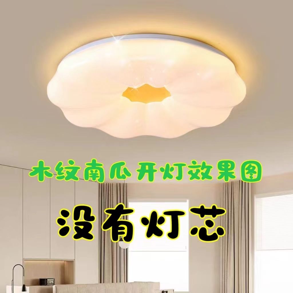 吸顶灯罩和底盘LED铁加壳