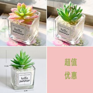 特小迷你盆栽塑料植物人