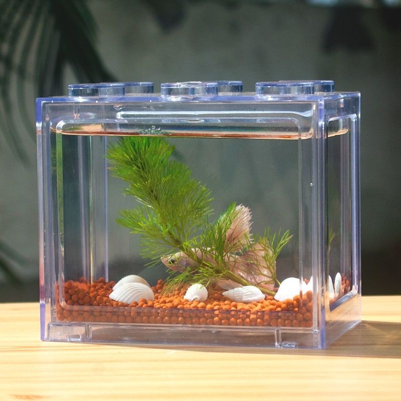 桌面迷你小鱼缸自循环办