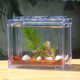 桌面迷你小鱼缸自循环办公室亚克力小型生态鱼缸桌面小鱼缸斗鱼缸