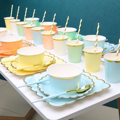 一次用餐盘子一次性餐具户外野餐盘子生日派对蛋糕碟子儿童甜品台