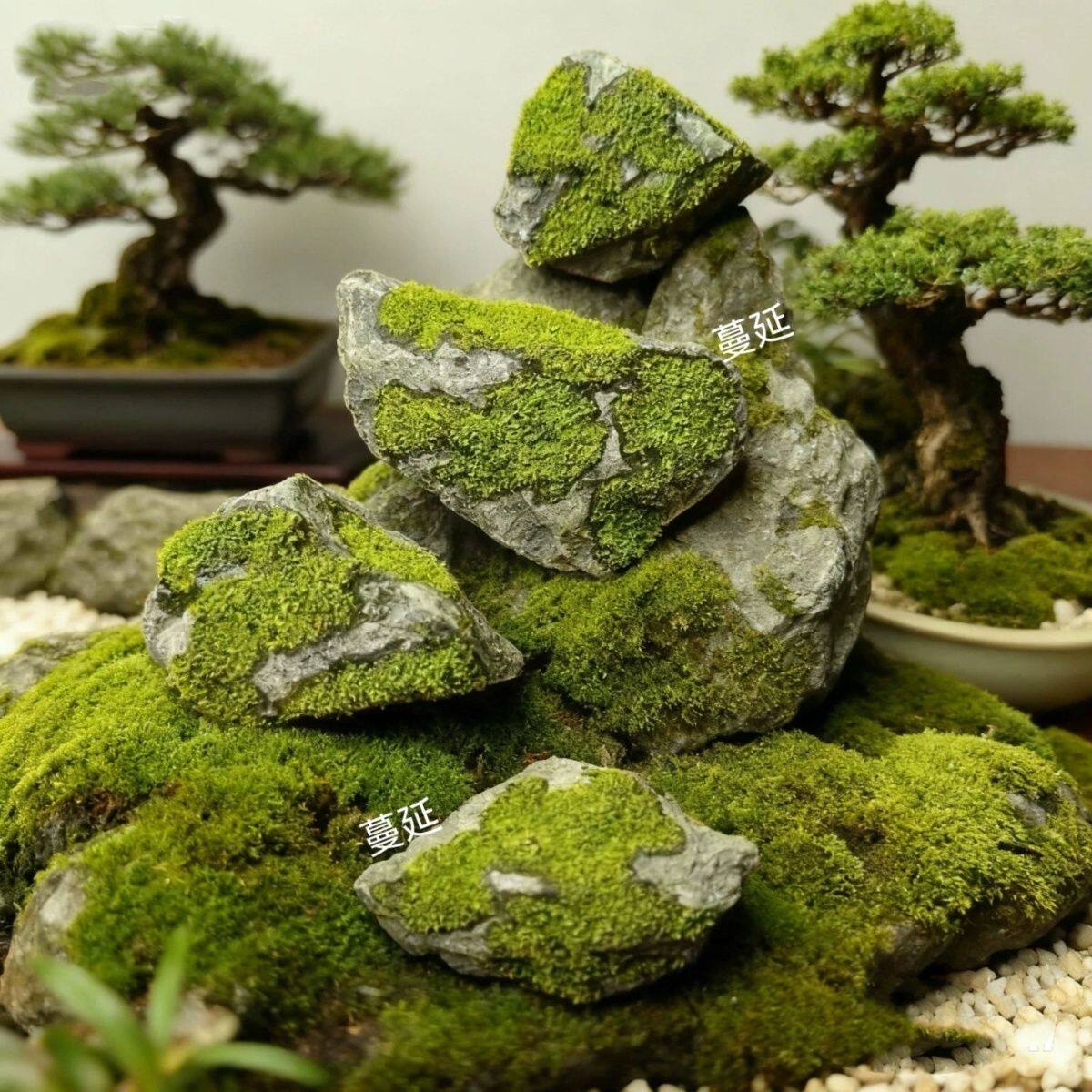 鱼缸里的装饰品鱼缸水族盆景盆栽溪流青苔石仿真苔藓石头造景森林