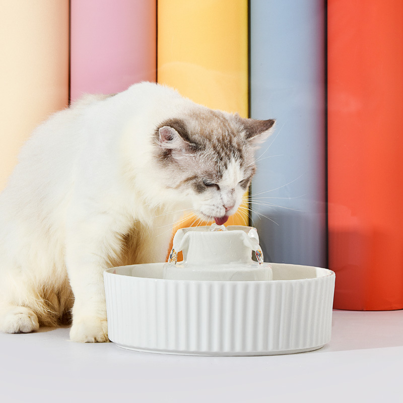 蛋糕陶瓷环球之光宠物猫咪饮水机全自动循环狗狗饮水器安全不漏电在类目 宠物/宠物食品及用品, 猫/狗日用品, 饮水器/水壶/水头中 - 来自Buy2taobao.com提供专业的淘宝代购服务
