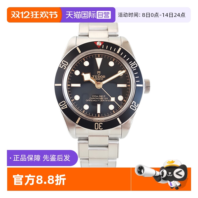 帝舵碧湾系列自动机械手表男款