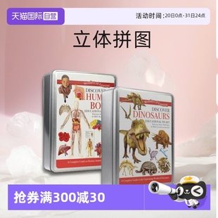 附人体骨架木制 Discover Learning 立体拼图 英文原版 Human the 发现人体奥秘铁盒套装 Body 自营 Wonders 生物知识启蒙