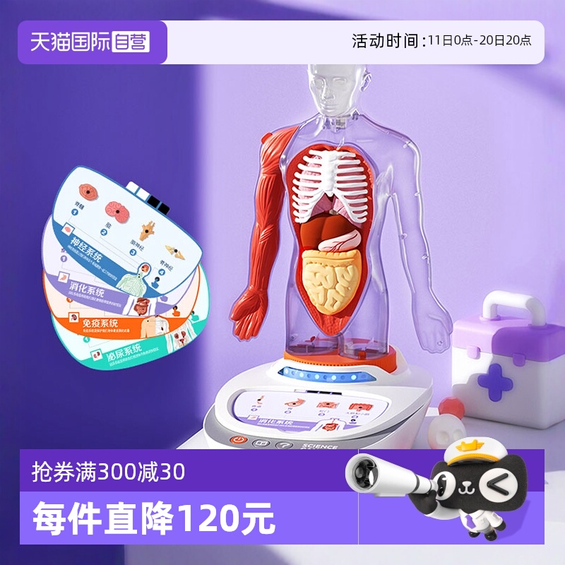科学罐头人体解剖教学玩具
