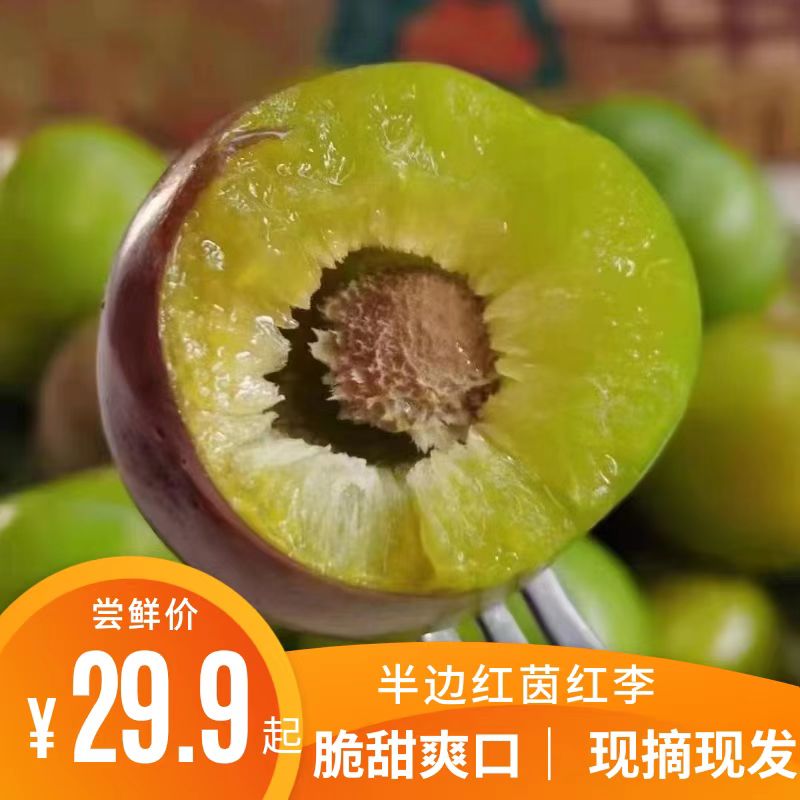 鲜薇四川李子新鲜脱骨青脆李脱骨李茵红李当季水果半边红脆甜5斤在类目 水产肉类/新鲜蔬果/熟食, 新鲜水果, 李子中 - 来自Buy2taobao.com提供专业的淘宝代购服务