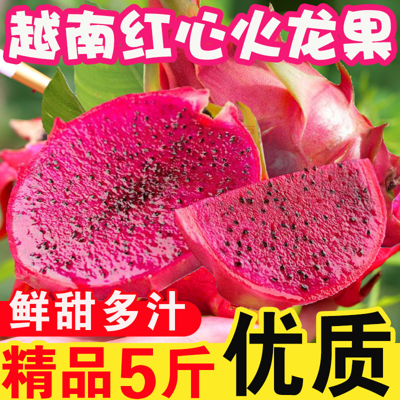 越南红心火龙果新鲜进口水果5斤大果当季整箱现摘现发