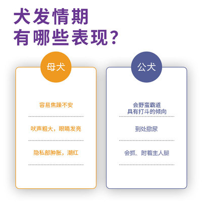 汪想宠尽欢宠物犬用禁情粉公母犬狗狗发情期专用的宠物营养补充剂