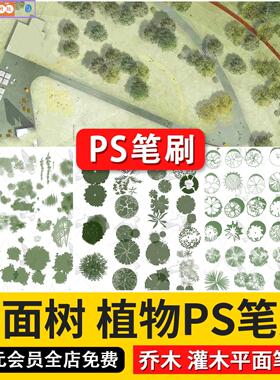 平面树植物ps笔刷小清新水彩树乔木灌木总平面图灰色彩平植物笔刷
