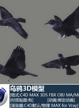 C4D高精度小鸟鸟类乌鸦带绑定动画工程源文件设计素材3D模型C2177