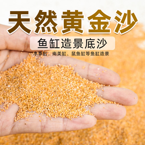 凯希慕黄金沙南美三湖鼠鱼底沙