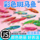 灯科鱼斑马鱼活体冷淡水新练手好养红绿宝莲灯小型热带观赏金鱼苗