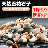 鱼缸底砂造景全套装 饰沙摆件石头子铺底水族箱原生溪流石沙子底沙