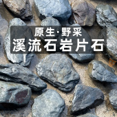 原生缸片岩造景石主石乌龟晒台水族造景装 饰生态溪流原石虾虎鳑鲏