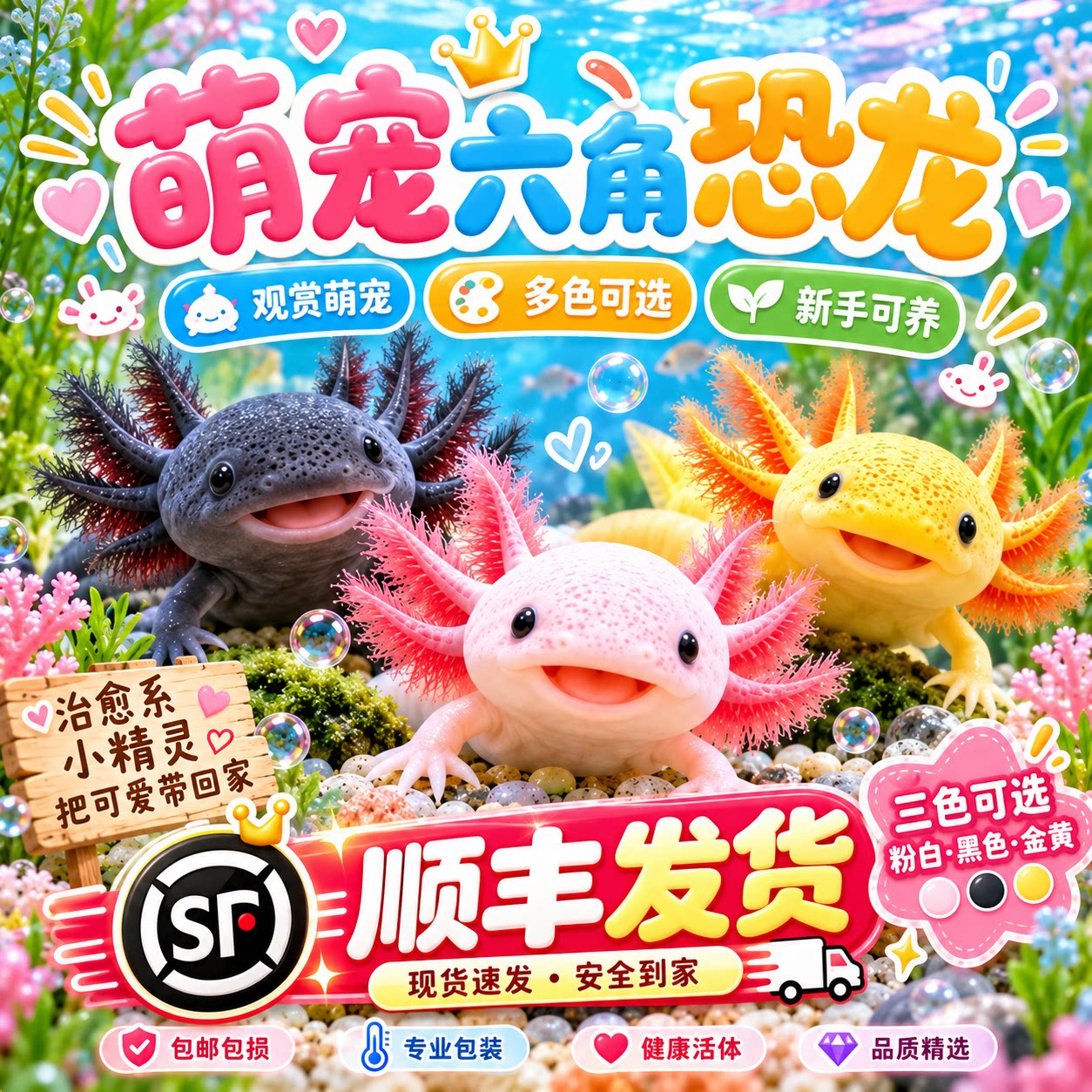 六角恐龙鱼冷水鱼蝾螈水族宠物活体六角龙淡水好养易活观赏网红鱼