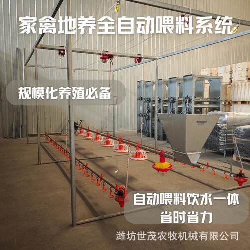 家禽地养全自动喂料系统自动料线水线适配散养鸡鸭