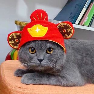 狗狗毛绒头套可爱猫咪京剧头套帽子泰迪博美比熊装扮饰品英短加菲