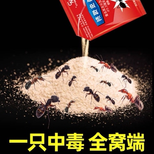 杀马蚁药码蚁药粉家里有去蚂蚁除红白马义药蟑螂蚂蚁除蚂蚁药全窝