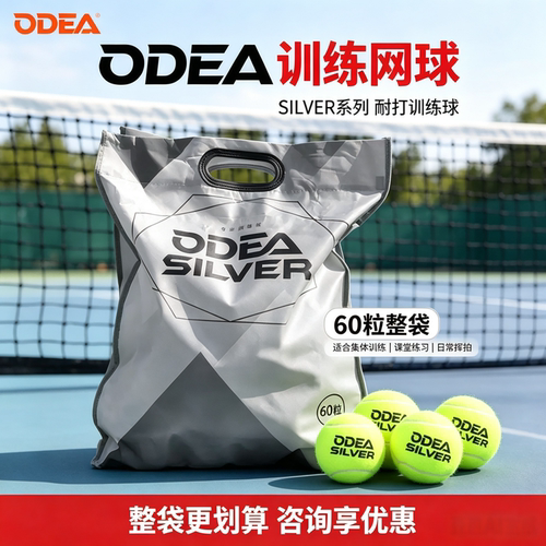 ODEA欧帝尔网球DD2专业训练比赛网球SILVER高弹耐磨耐打练习网球