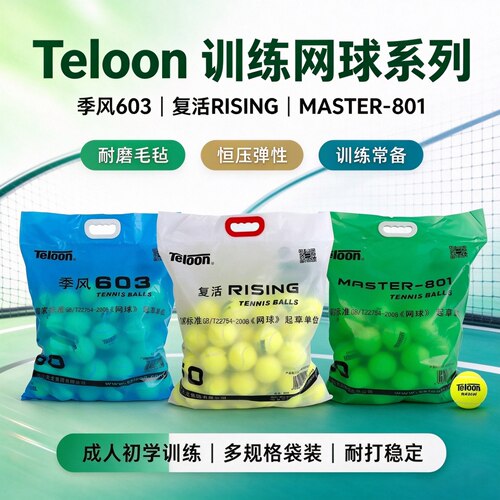 Teloon天龙网球训练球高弹力耐打