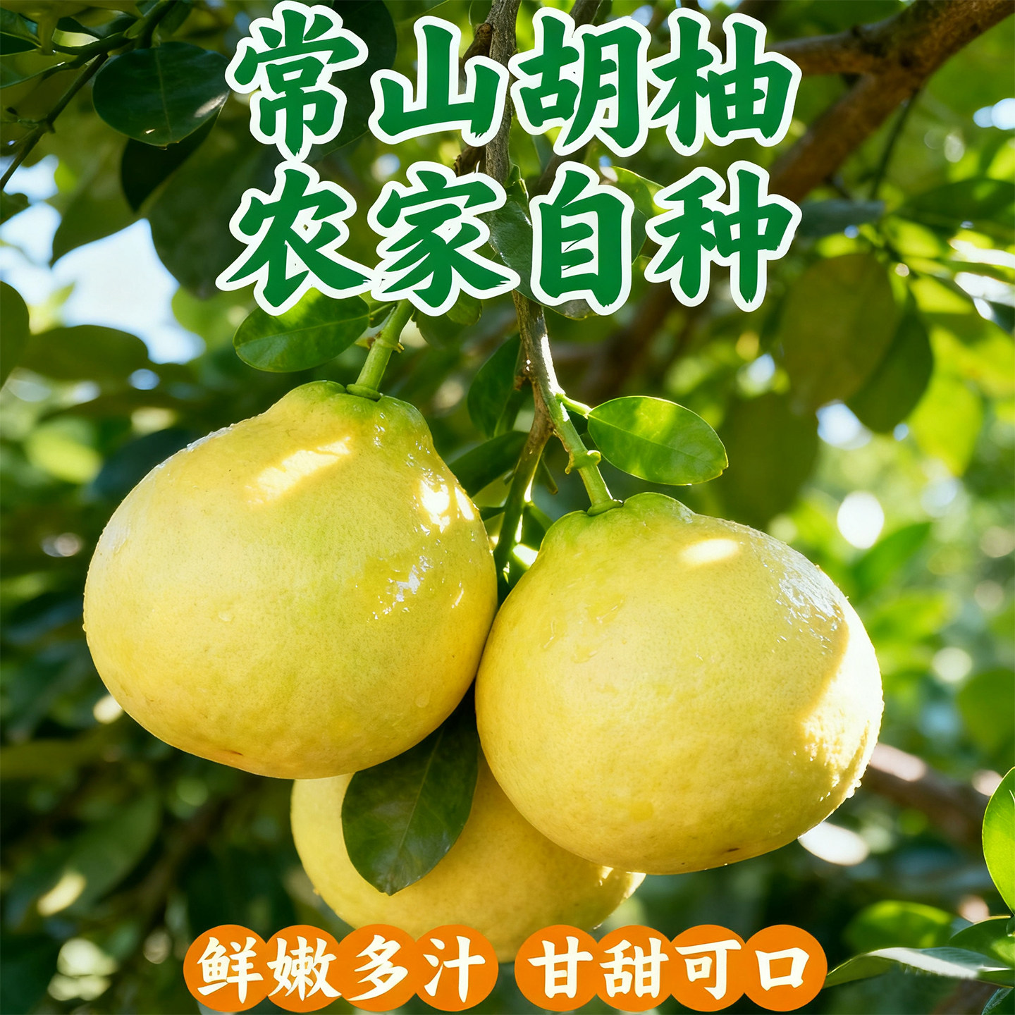 2025现摘新鲜常山胡柚酸甜口老少皆宜正宗绿色食品农家特产柚子