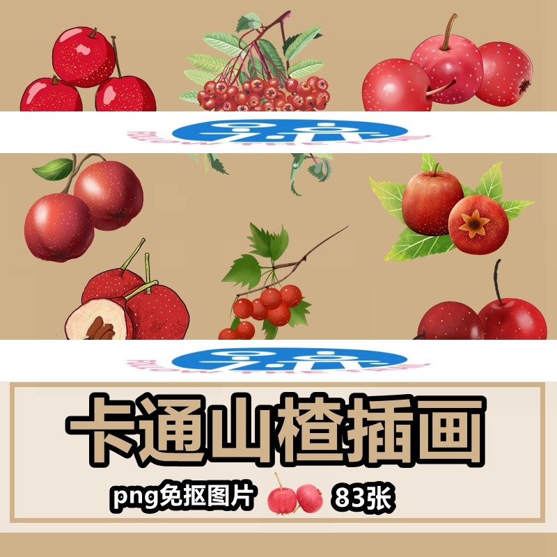 卡通山楂手绘插画png免抠图片水果植物果实ppt插图素材