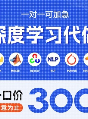 python代编程序机器深度学习代码指导问题解决调试代做作编写接单