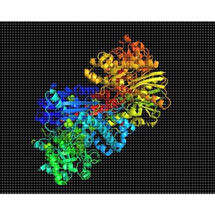 gromacs分子动力学，分子动力学模拟，蛋白分子对接，氨基酸突变