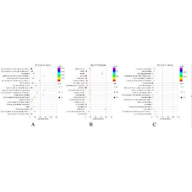 中药复方网络药理学联合分子对接套路视频教程/生信自学网/多中药