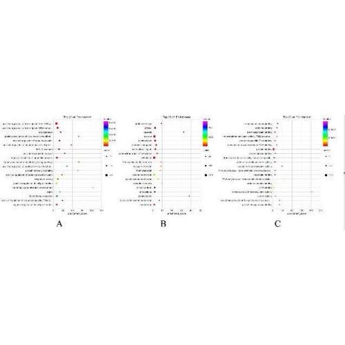 中药复方网络药理学联合分子对接套路视频教程/生信自学网/多中药