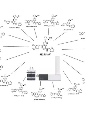LCMS检测 液相质谱分析检测 药物杂质降解产物中药代谢物代谢组学