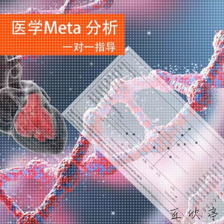 网状Meta分析系统评价服务一对一咨询答疑指导数据分析