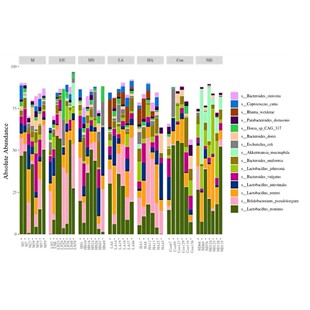 SCI翻譯網絡藥理學分析分子對接分子動力學模擬基礎研究meta生信