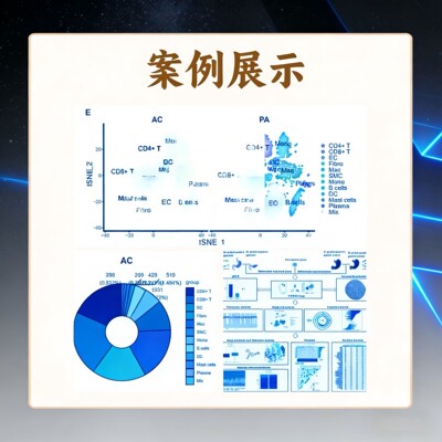 microeco安装，用于R语言处理和分析微生物组数据