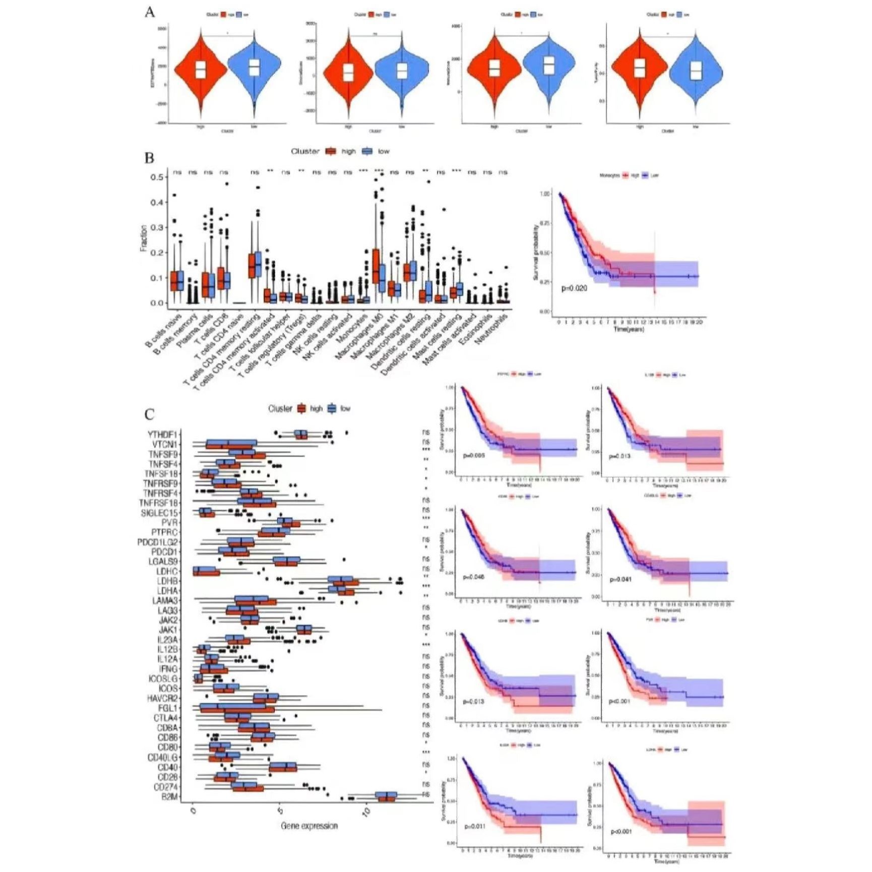 生信分析 医学科研TCGA GEO数据库挖掘单细胞转录组测序 生信代做