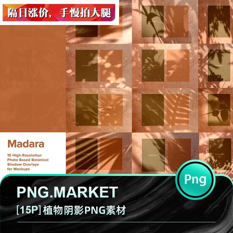 自然北欧高级优雅阳光植物光影光斑阴影效果后期叠加图片PNG素材