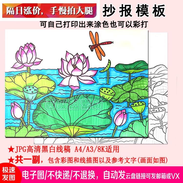 夏日荷花蜻蜓主题童心儿童画手线稿模板电子小学生简笔画绘画卡通